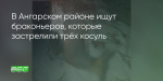 Поделитья во ВКонтакте