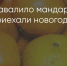 Поделитья во ВКонтакте - Братская Студия Телевидения