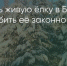 Поделитья во ВКонтакте - Братская Студия Телевидения