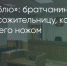 Поделитья во ВКонтакте - Братская Студия Телевидения