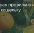 Поделитья во ВКонтакте - Братская Студия Телевидения