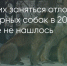 Поделитья во ВКонтакте - Братская Студия Телевидения