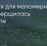 Поделитья во ВКонтакте - Братская Студия Телевидения