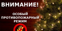 На территории Иркутской области с 29 декабря вводится особый противопожарный режим - Администрация Братского района