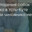 Поделитья во ВКонтакте - Братская Студия Телевидения