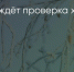 Поделитья во ВКонтакте - Братская Студия Телевидения