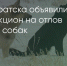 Поделитья во ВКонтакте - Братская Студия Телевидения