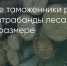 Поделитья во ВКонтакте - Братская Студия Телевидения