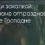 Поделитья во ВКонтакте - Братская Студия Телевидения