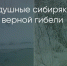 Поделитья во ВКонтакте - Братская Студия Телевидения