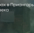 Поделитья во ВКонтакте - Братская Студия Телевидения