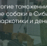 Поделитья во ВКонтакте - Братская Студия Телевидения