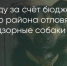 Поделитья во ВКонтакте - Братская Студия Телевидения
