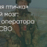 Поделитья во ВКонтакте - Братская Студия Телевидения
