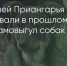 Поделитья во ВКонтакте - Братская Студия Телевидения