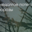 Поделитья во ВКонтакте - Братская Студия Телевидения