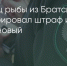 Поделитья во ВКонтакте - Братская Студия Телевидения