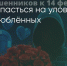 Поделитья во ВКонтакте - Братская Студия Телевидения