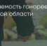 Поделитья во ВКонтакте - Братская Студия Телевидения