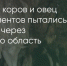 Поделитья во ВКонтакте - Братская Студия Телевидения