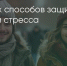 Поделитья во ВКонтакте - Братская Студия Телевидения