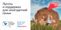 Развитие жизненных ситуаций на Госуслугах продолжилось в 2026 году - Администрация Братского района