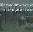 Поделитья во ВКонтакте - Братская Студия Телевидения