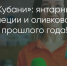 Поделитья во ВКонтакте - Братская Студия Телевидения