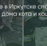 Поделитья во ВКонтакте - Братская Студия Телевидения
