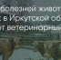 Поделитья во ВКонтакте - Братская Студия Телевидения