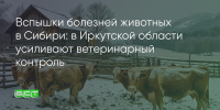 Поделитья во ВКонтакте - Братская Студия Телевидения
