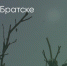 Поделитья во ВКонтакте - Братская Студия Телевидения