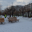 В Братске проводят формовку деревьев (ФОТО, ВИДЕО) - Администрация г. Братск