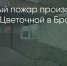 Поделитья во ВКонтакте - Братская Студия Телевидения