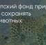Поделитья во ВКонтакте - Братская Студия Телевидения