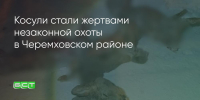 Поделитья во ВКонтакте - Братская Студия Телевидения
