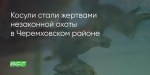 Поделитья во ВКонтакте