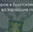 Поделитья во ВКонтакте - Братская Студия Телевидения