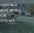 Поделитья во ВКонтакте - Братская Студия Телевидения