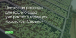 Поделитья во ВКонтакте
