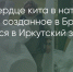 Поделитья во ВКонтакте - Братская Студия Телевидения
