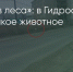 Поделитья во ВКонтакте - Братская Студия Телевидения
