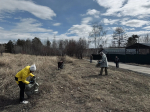 Общегородской субботник прошел сегодня в Братске (ФОТО)