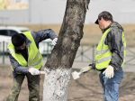 Общегородской субботник прошел сегодня в Братске (ФОТО)