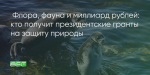 Поделитья во ВКонтакте