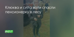 Поделитья во ВКонтакте